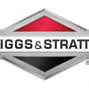 Motor Briggs&Stratton